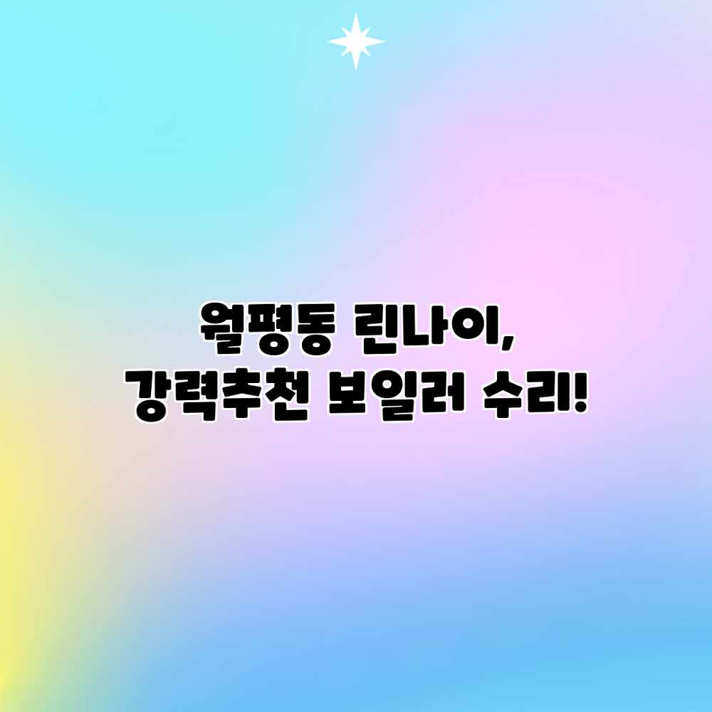 월평동 린나이, 강력추천 보일러 수리!