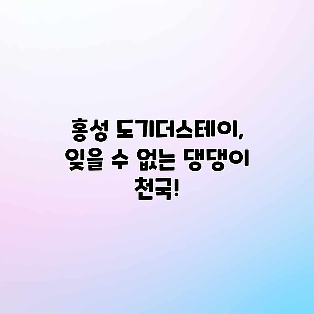 홍성 도기더스테이, 잊을 수 없는 댕댕이 천국!