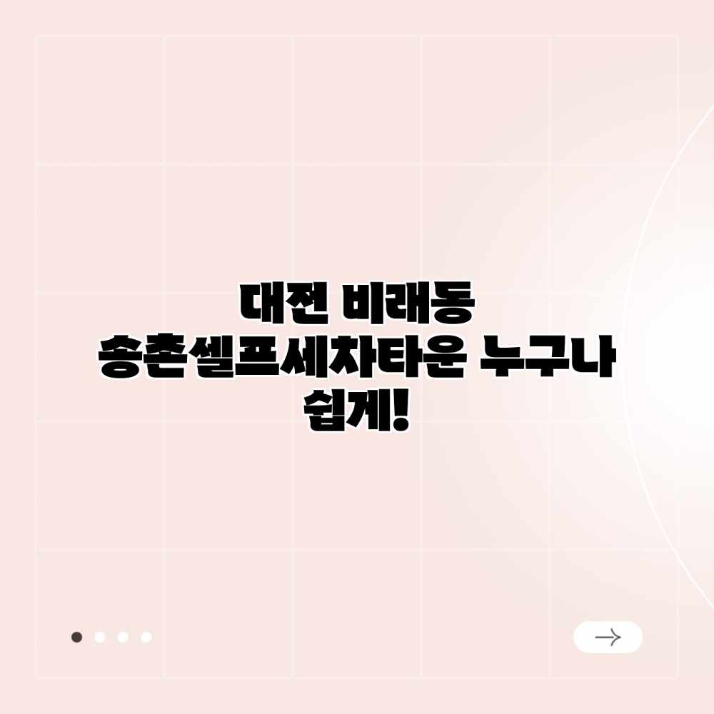 대전 비래동 송촌셀프세차타운: 누구나 쉽게!