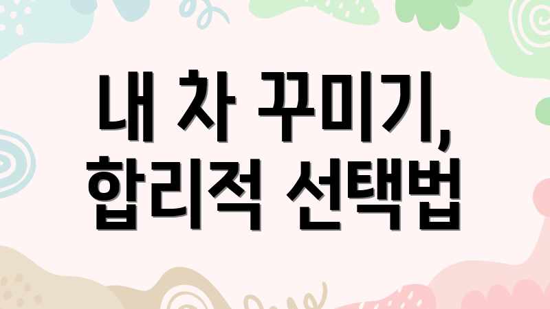 내 차 꾸미기, 합리적 선택법
