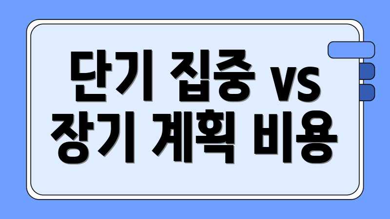 단기 집중 vs 장기 계획 비용