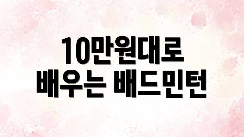 10만원대로 배우는 배드민턴