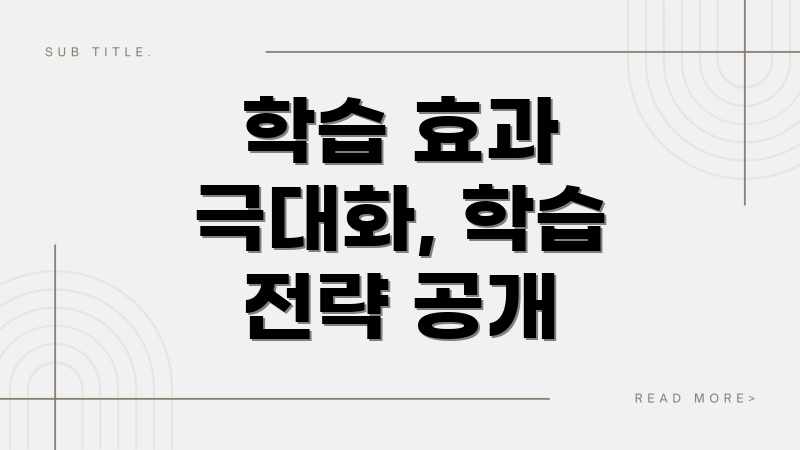 학습 효과 극대화, 학습 전략 공개