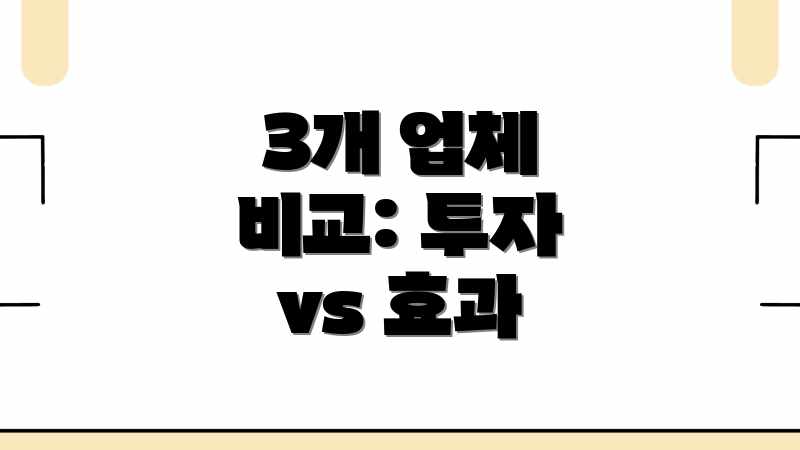 3개 업체 비교: 투자 vs 효과