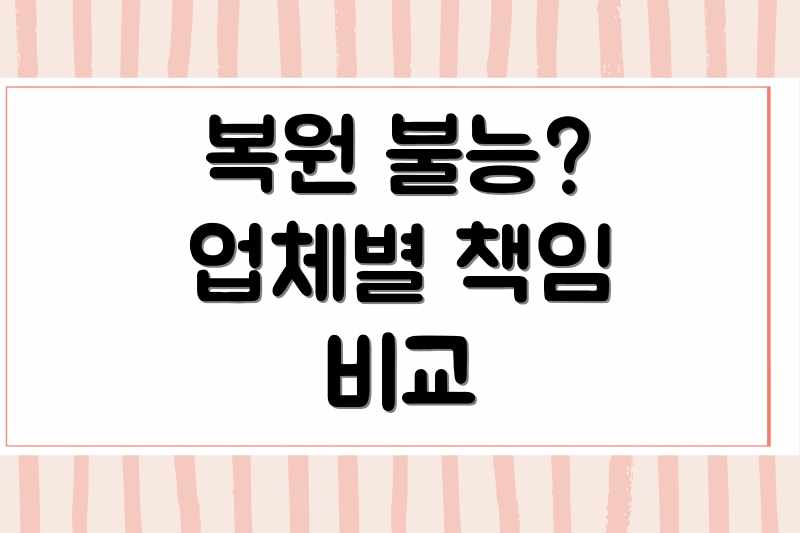 복원 불능? 업체별 책임 비교