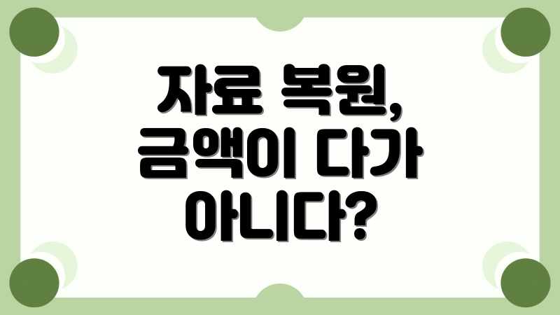 자료 복원, 금액이 다가 아니다?
