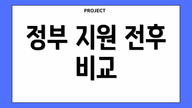 정부 지원 전후 비교