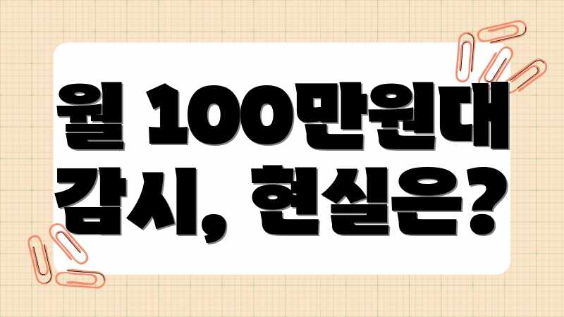 월 100만원대 감시, 현실은?