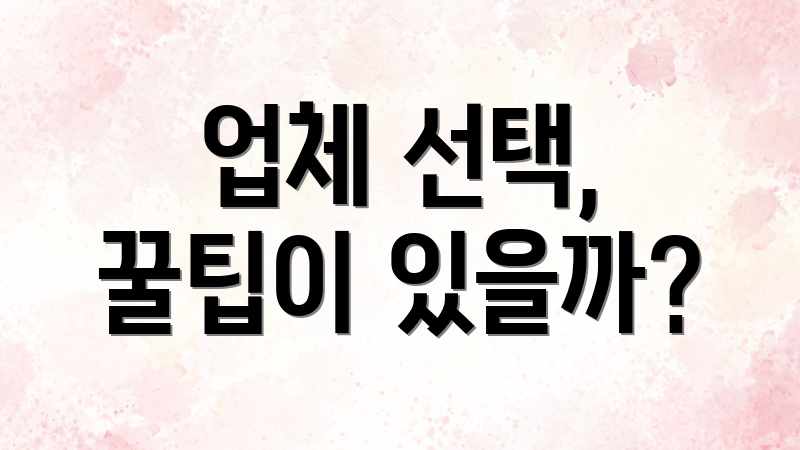 업체 선택, 꿀팁이 있을까?