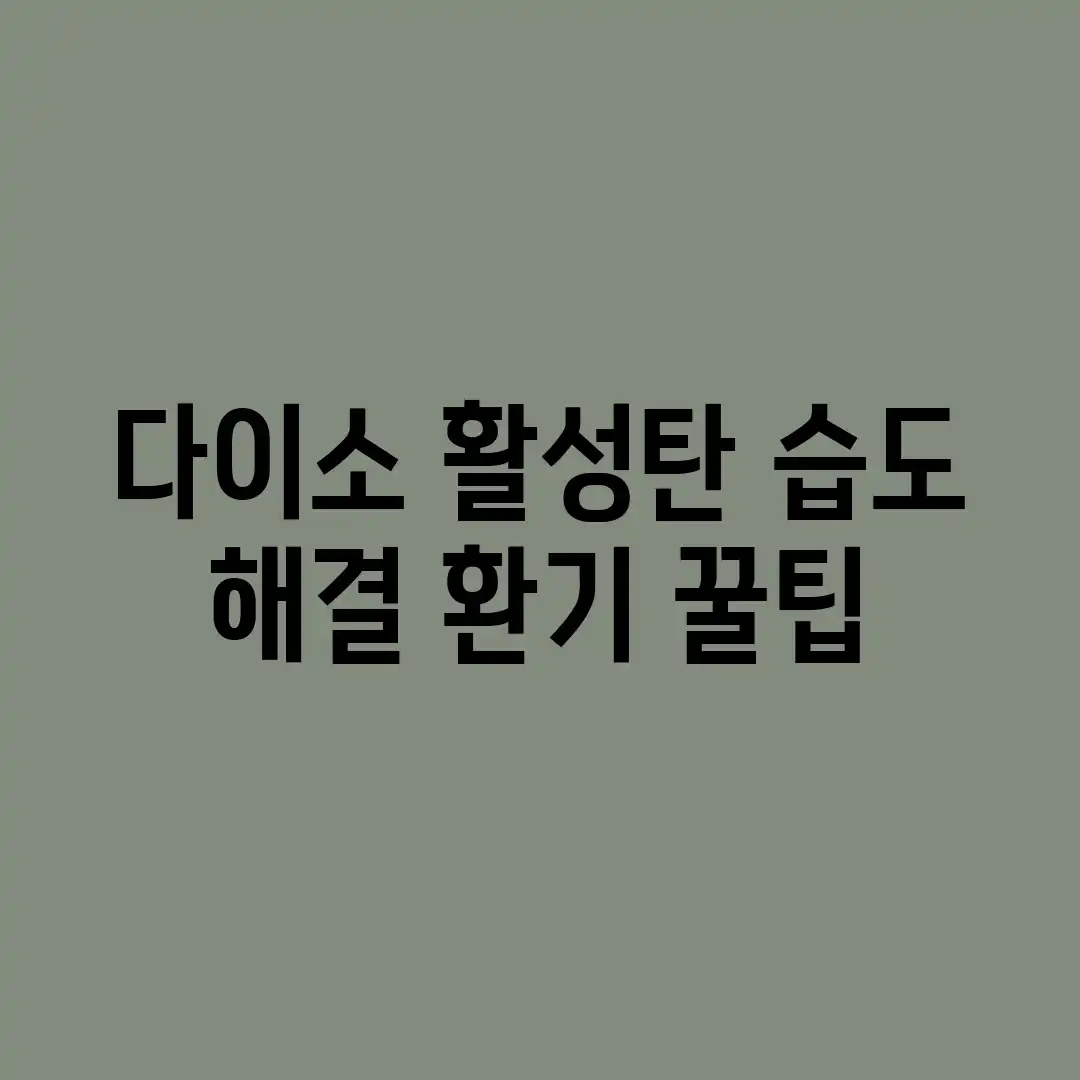 다이소 활성탄 습도 해결! 환기 꿀팁 다이소 활성탄 습도 해결! 환기 꿀팁