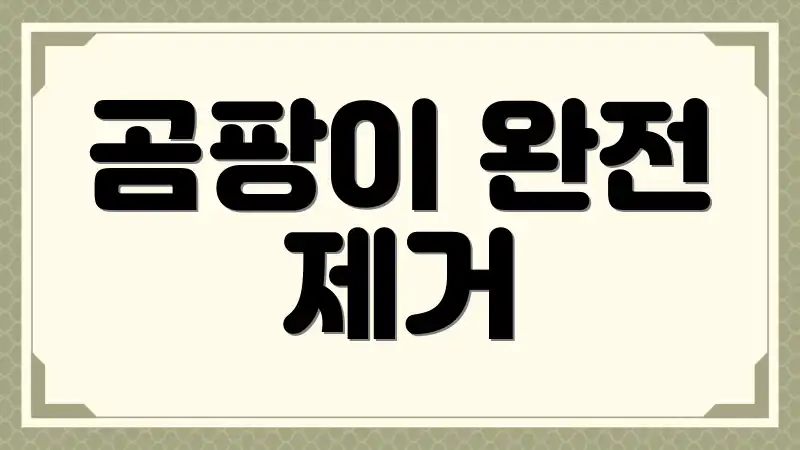 곰팡이 완전 제거