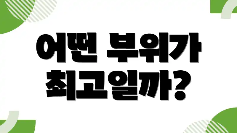 어떤 부위가 최고일까?