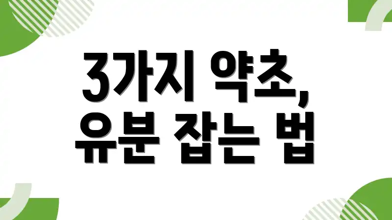 3가지 약초, 유분 잡는 법