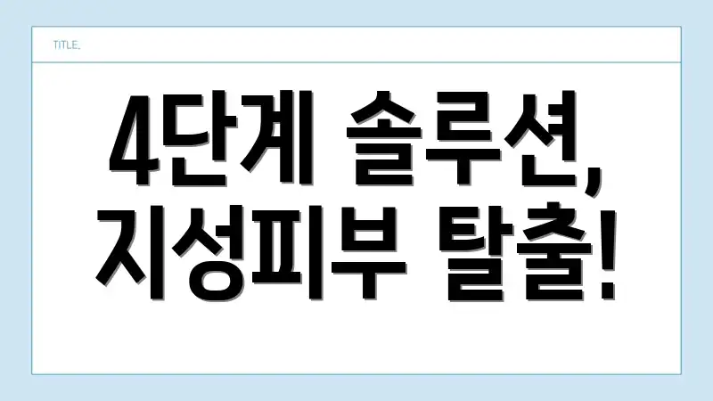 4단계 솔루션, 지성피부 탈출!