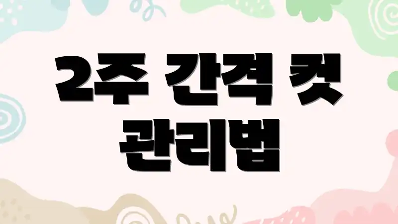 2주 간격 컷 관리법