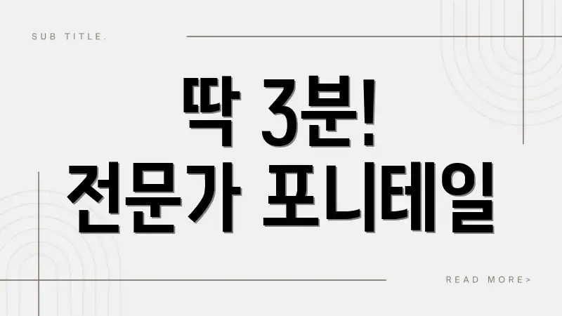 딱 3분! 전문가 포니테일