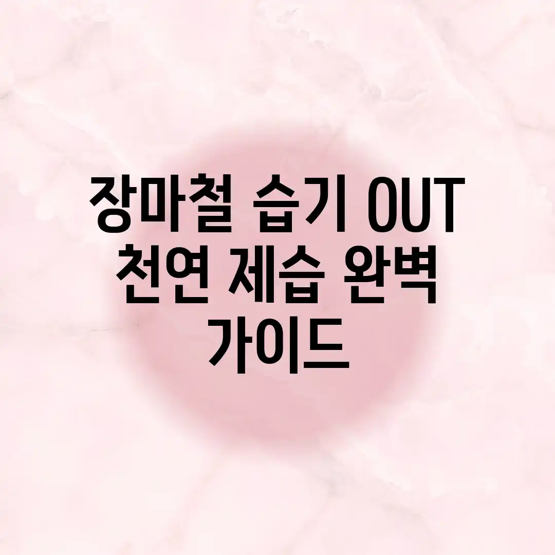 장마철 습기 OUT! 천연 제습 완벽 가이드 장마철 습기 OUT! 천연 제습 완벽 가이드