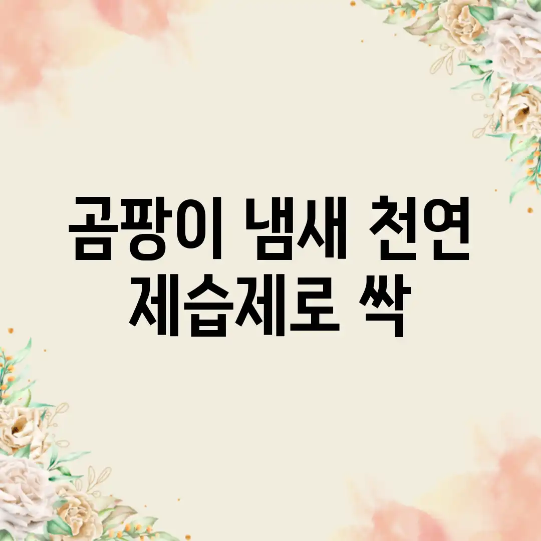 곰팡이 냄새, 천연 제습제로 싹? 곰팡이 냄새, 천연 제습제로 싹?