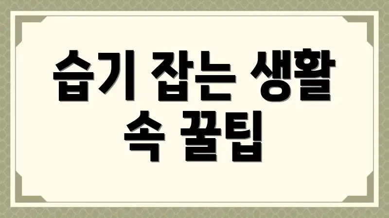 습기 잡는 생활 속 꿀팁