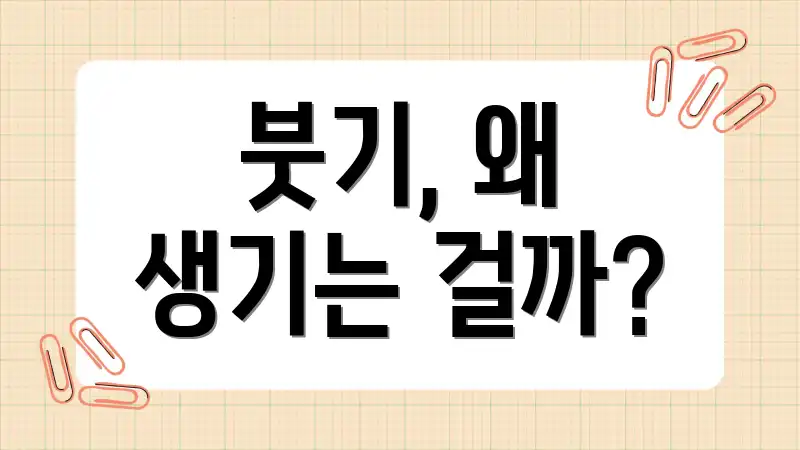 붓기, 왜 생기는 걸까?