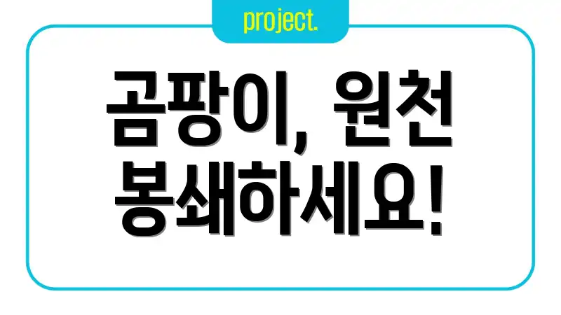 곰팡이, 원천 봉쇄하세요!