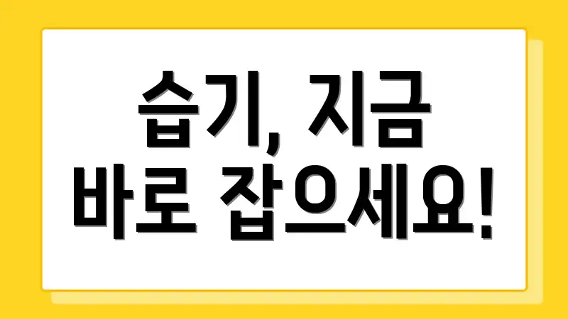 습기, 지금 바로 잡으세요!