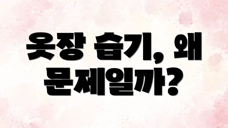 옷장 습기, 왜 문제일까?