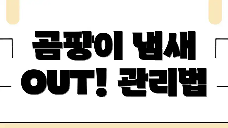 곰팡이 냄새 OUT! 관리법