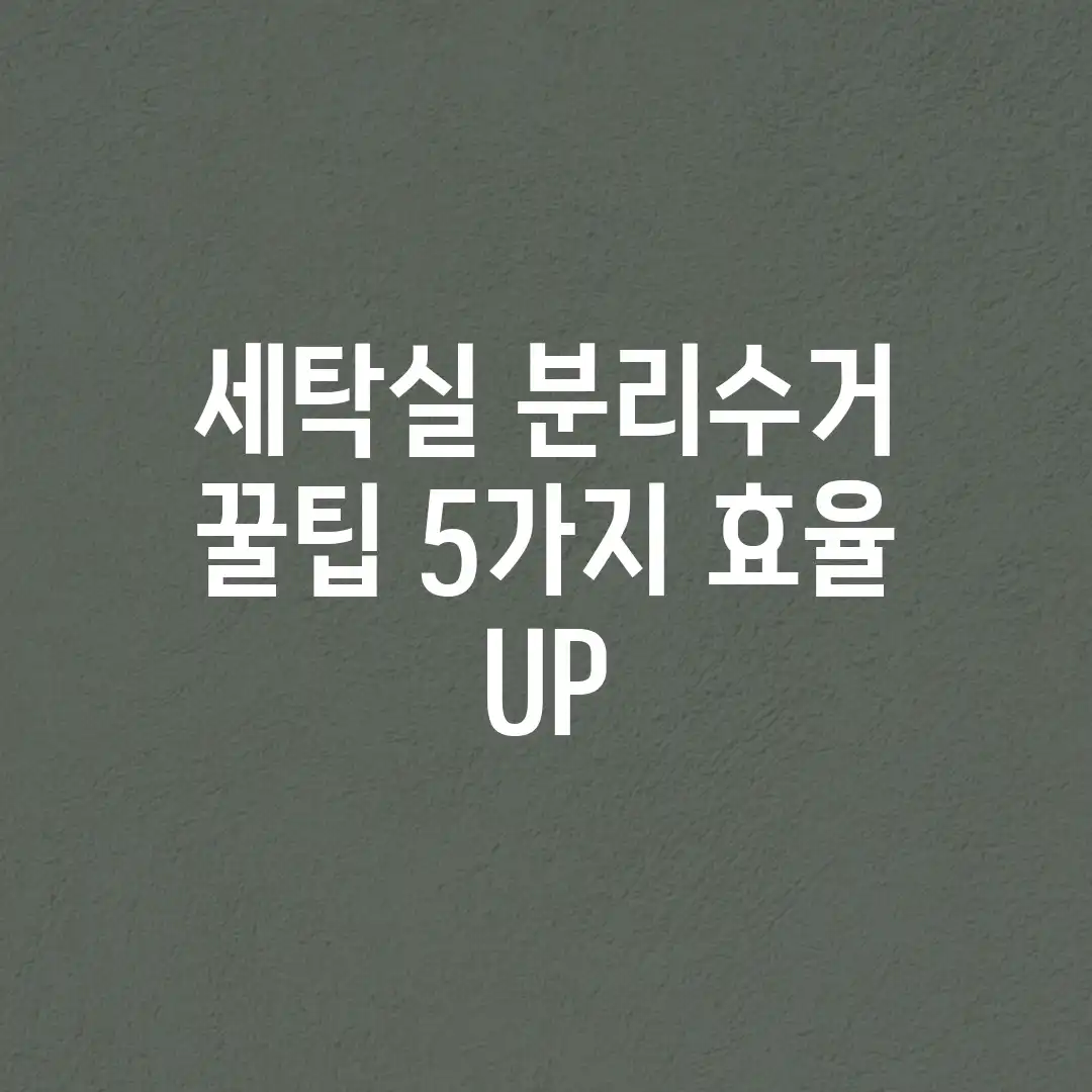 세탁실 분리수거 꿀팁 5가지! 효율 UP 세탁실 분리수거 꿀팁 5가지! 효율 UP