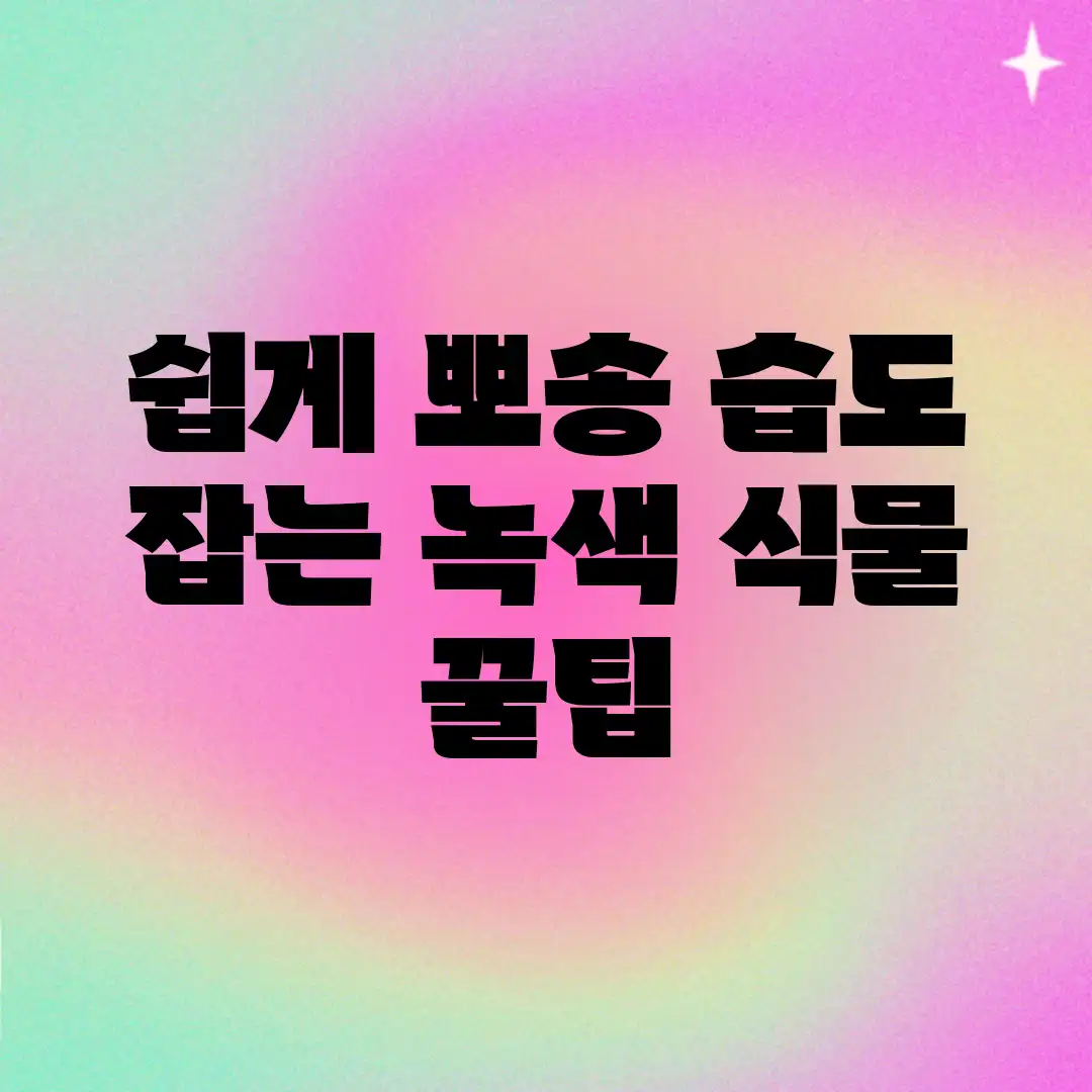 쉽게 뽀송! 습도 잡는 녹색 식물 꿀팁 쉽게 뽀송! 습도 잡는 녹색 식물 꿀팁