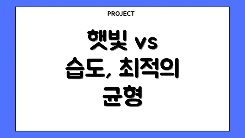 햇빛 vs 습도, 최적의 균형