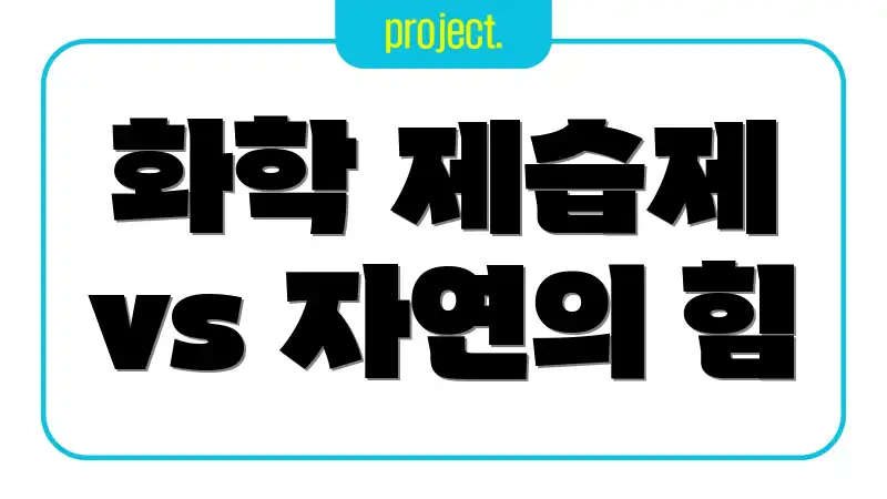 화학 제습제 vs 자연의 힘