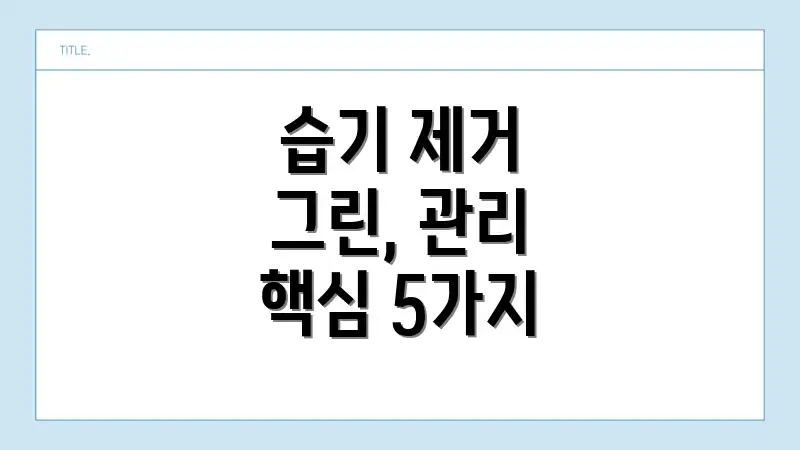 습기 제거 그린, 관리 핵심 5가지