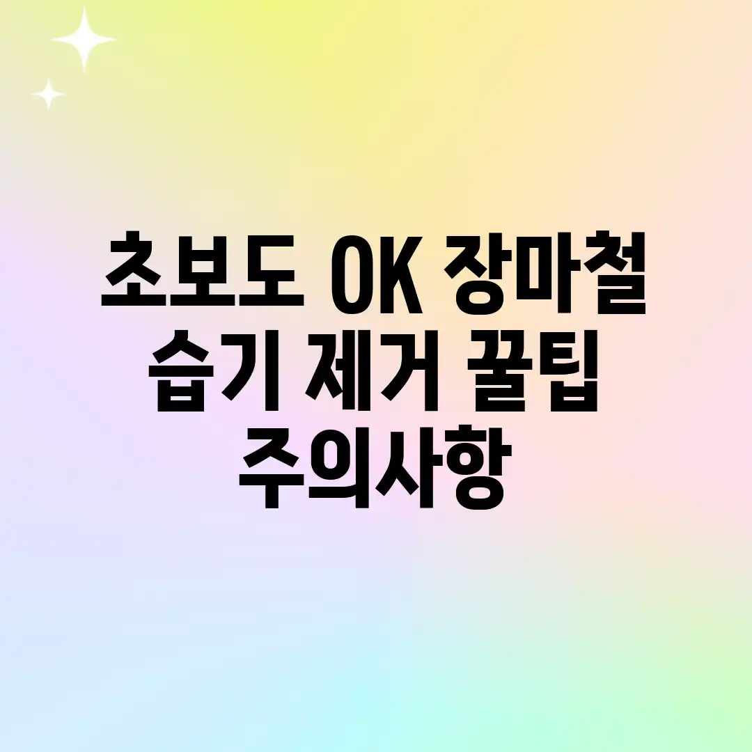 초보도 OK! 장마철 습기 제거 꿀팁 & 주의사항 초보도 OK! 장마철 습기 제거 꿀팁 & 주의사항
