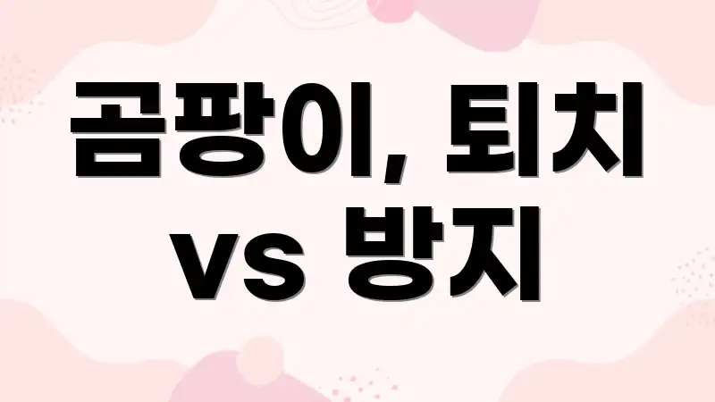 곰팡이, 퇴치 vs 방지