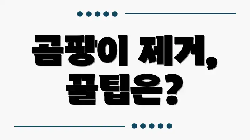 곰팡이 제거, 꿀팁은?