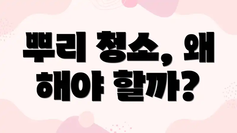 뿌리 청소, 왜 해야 할까?