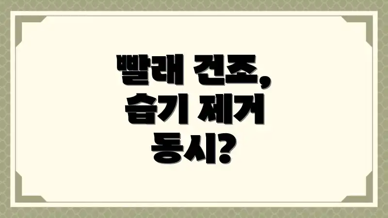 빨래 건조, 습기 제거 동시?