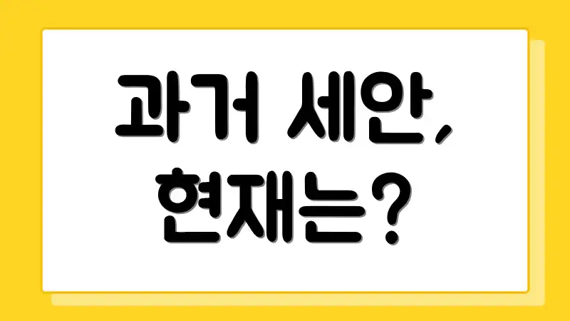 과거 세안, 현재는?