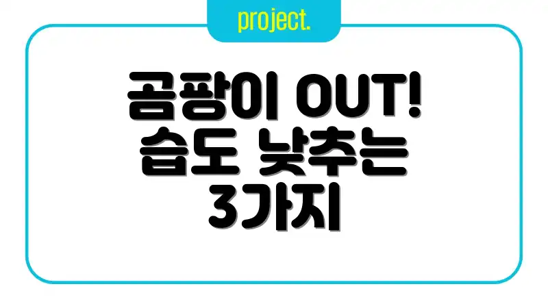 곰팡이 OUT! 습도 낮추는 3가지