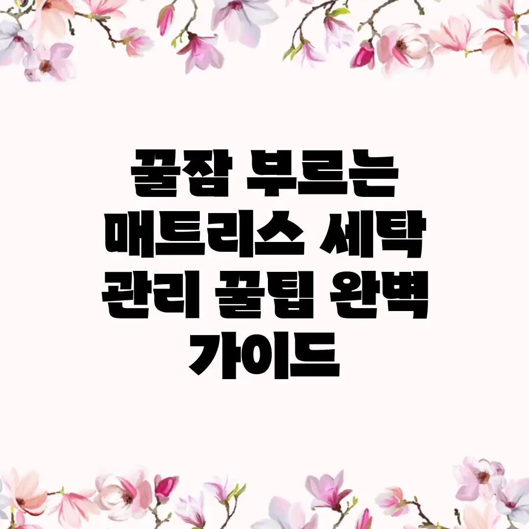 꿀잠 부르는 매트리스 세탁 & 관리 꿀팁 완벽 가이드 꿀잠 부르는 매트리스 세탁 & 관리 꿀팁 완벽 가이드