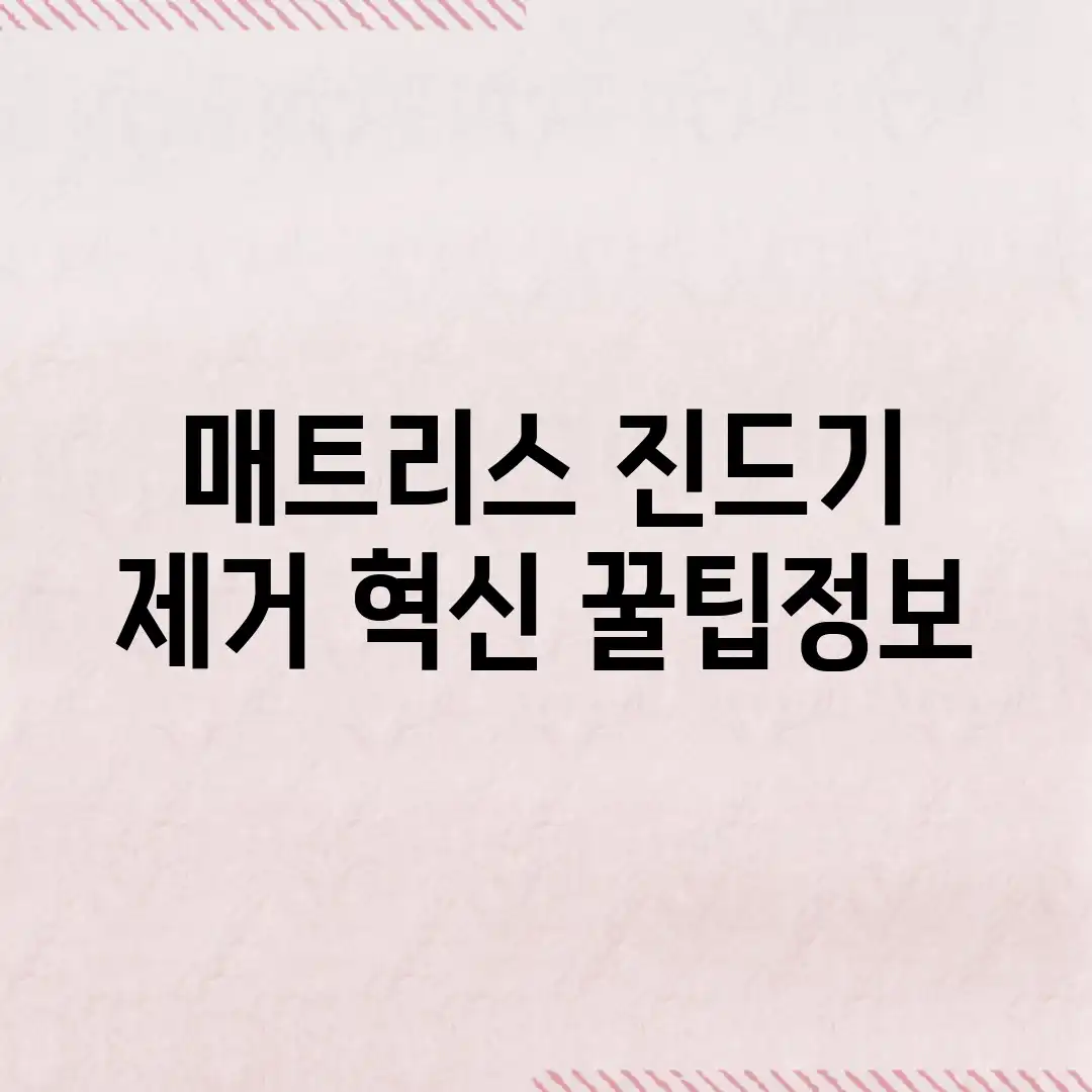 매트리스 진드기 제거 혁신! 꿀팁정보 매트리스 진드기 제거 혁신! 꿀팁정보