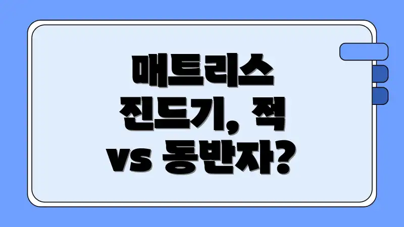 매트리스 진드기, 적 vs 동반자?