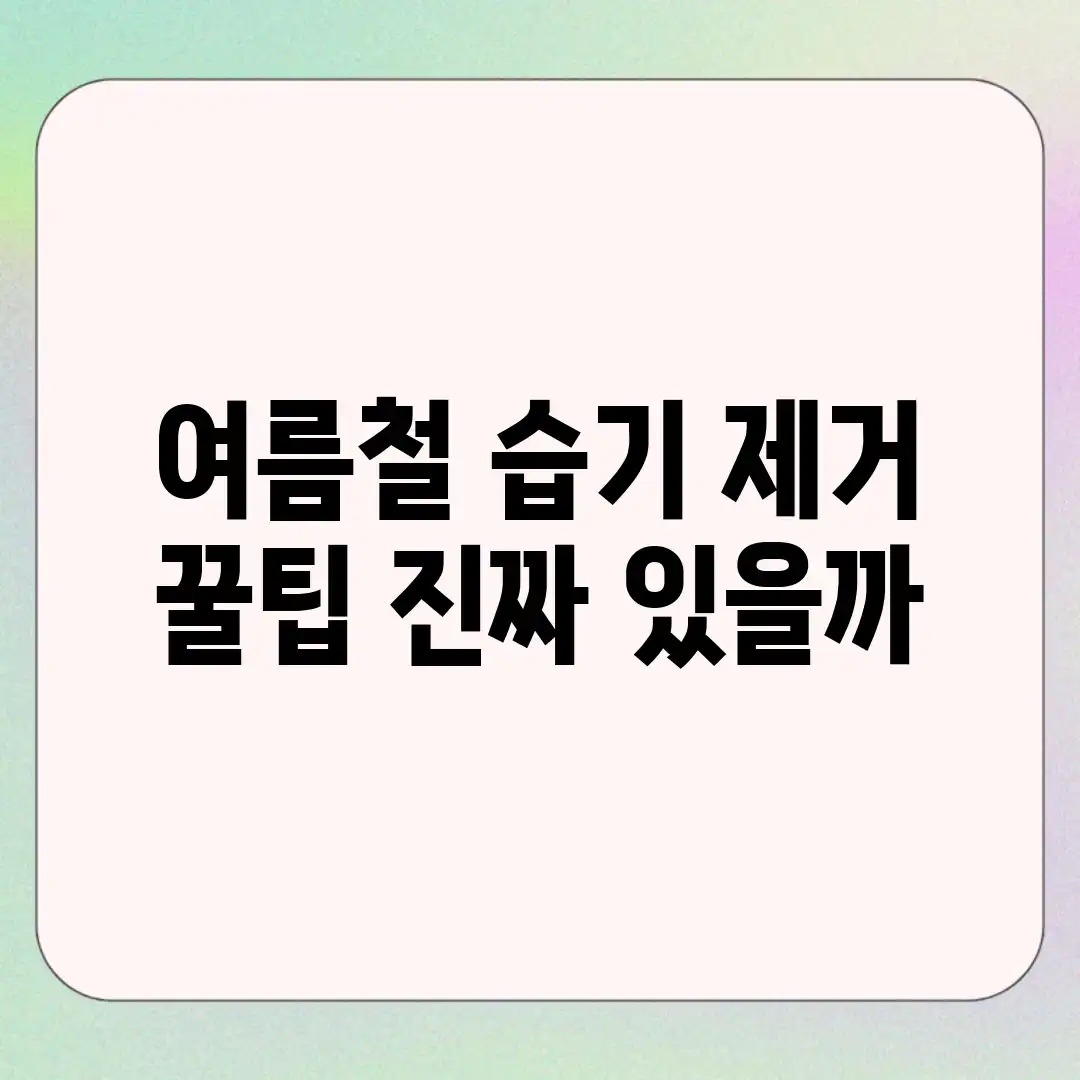 여름철 습기 제거 꿀팁, 진짜 있을까? 여름철 습기 제거 꿀팁, 진짜 있을까?