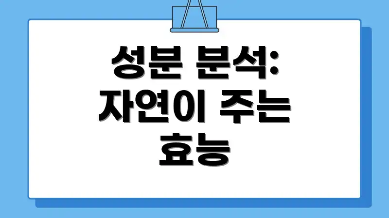 성분 분석: 자연이 주는 효능