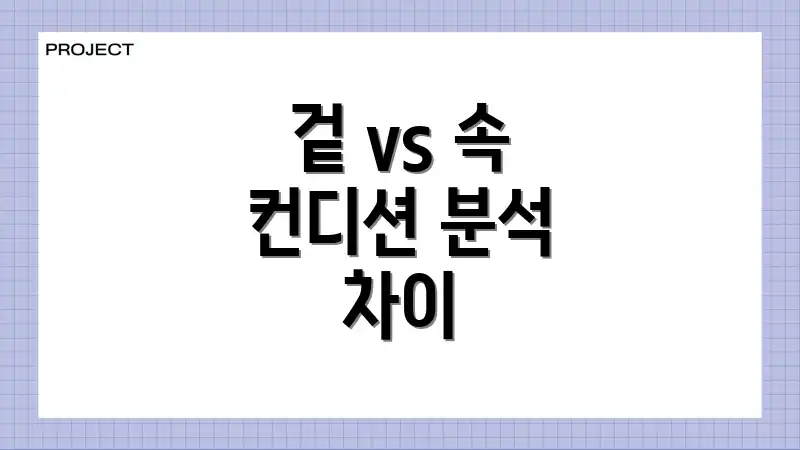 겉 vs 속 컨디션 분석 차이