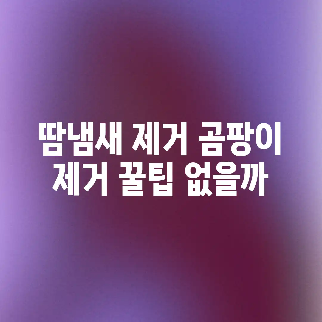 땀냄새 제거, 곰팡이 제거 꿀팁 없을까? 땀냄새 제거, 곰팡이 제거 꿀팁 없을까?