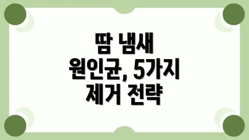 땀 냄새 원인균, 5가지 제거 전략