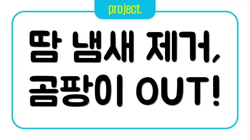 땀 냄새 제거, 곰팡이 OUT!