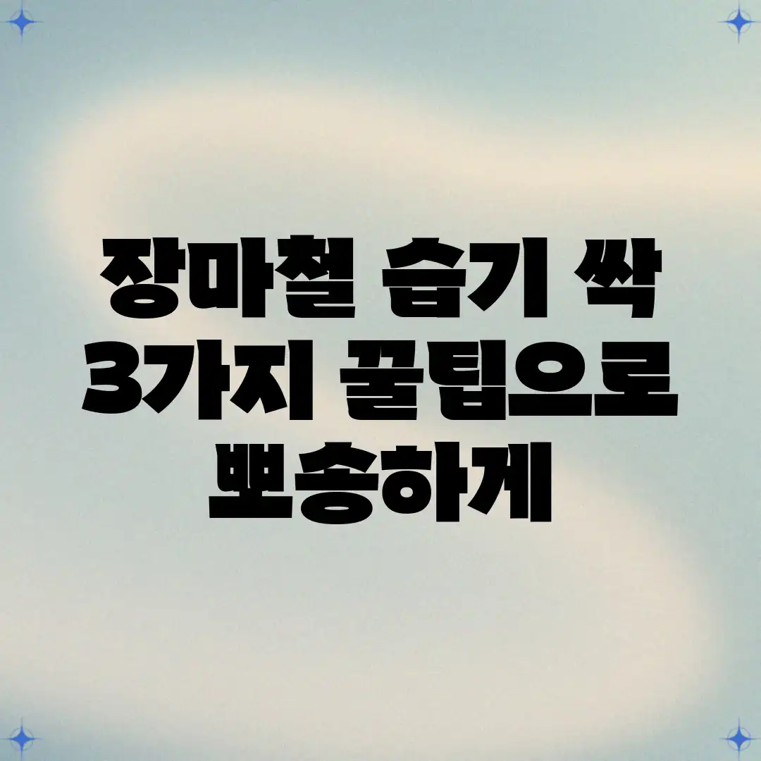 장마철 습기 싹! 3가지 꿀팁으로 뽀송하게 장마철 습기 싹! 3가지 꿀팁으로 뽀송하게
